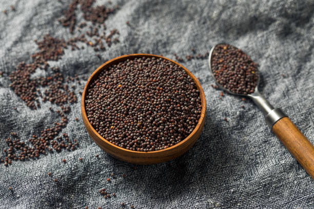 Common  Brown Mustard Seeds